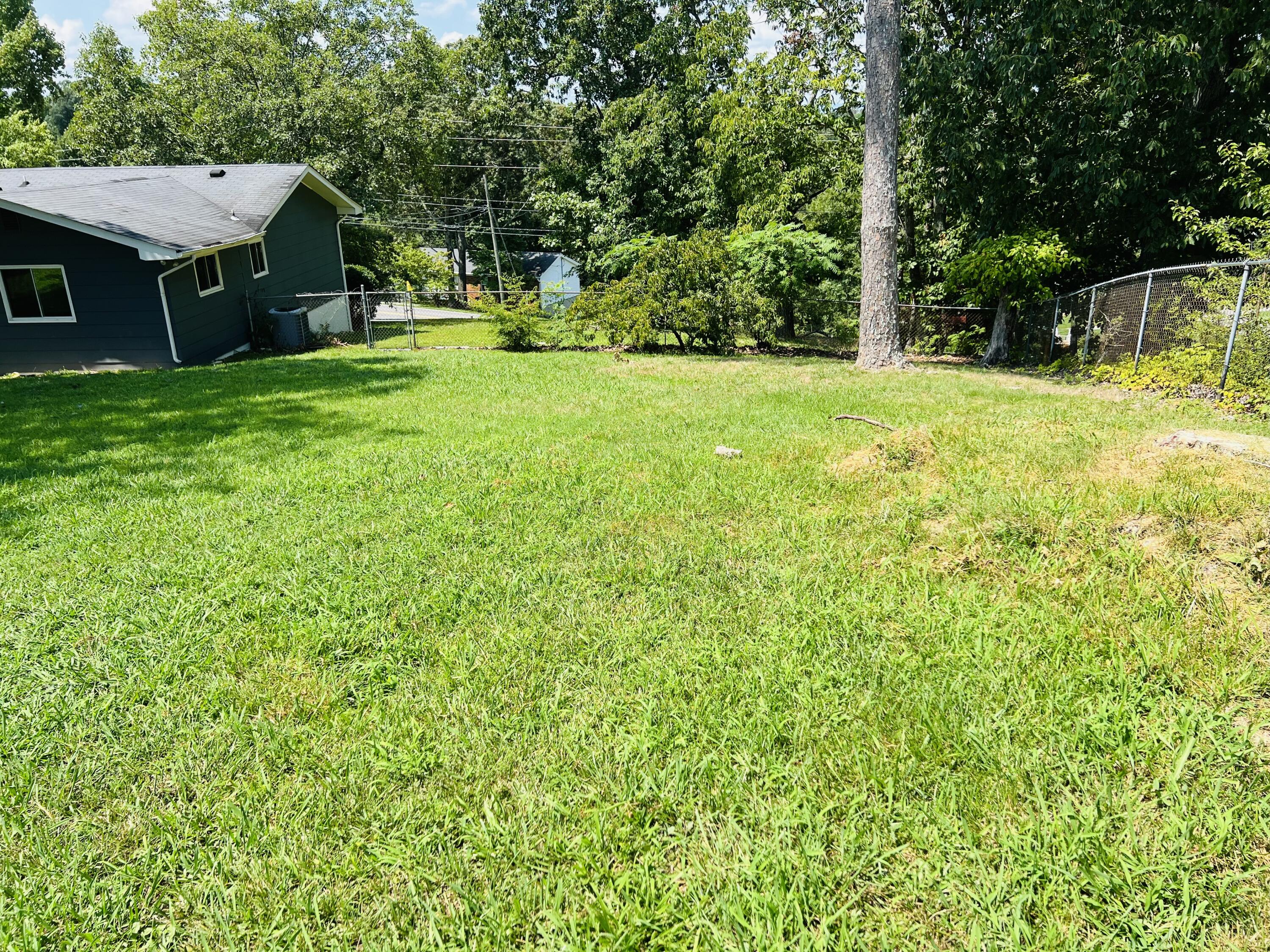 733 Holcomb Road Ringgold, GA 30736 - Photo 40 of 43 fenced backyard looking toward street