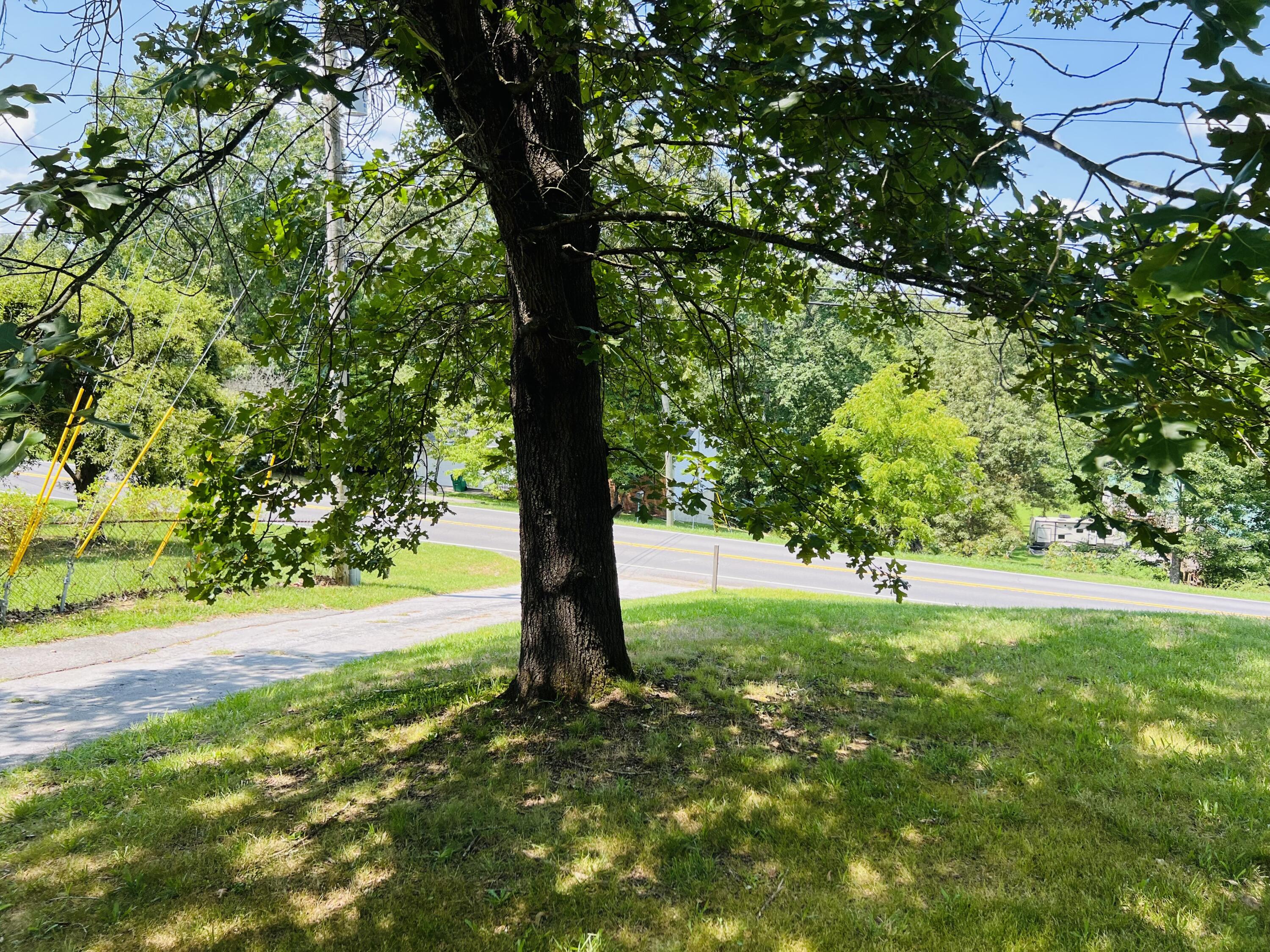 733 Holcomb Road Ringgold, GA 30736 - Photo 42 of 43 view of street from front yard