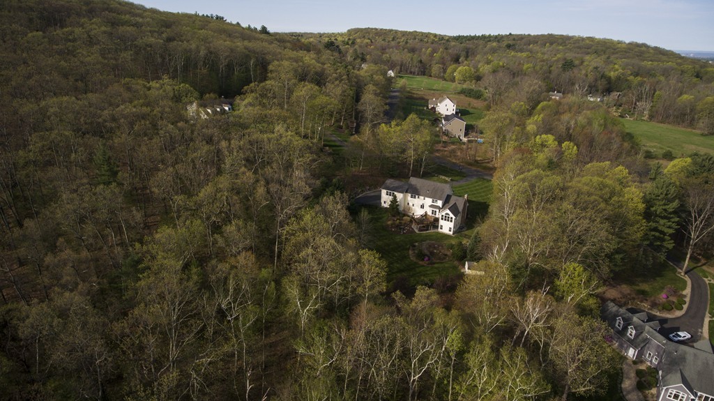 15 Danforth Farm Road Wilbraham, MA 01095 - Photo 29 of 30