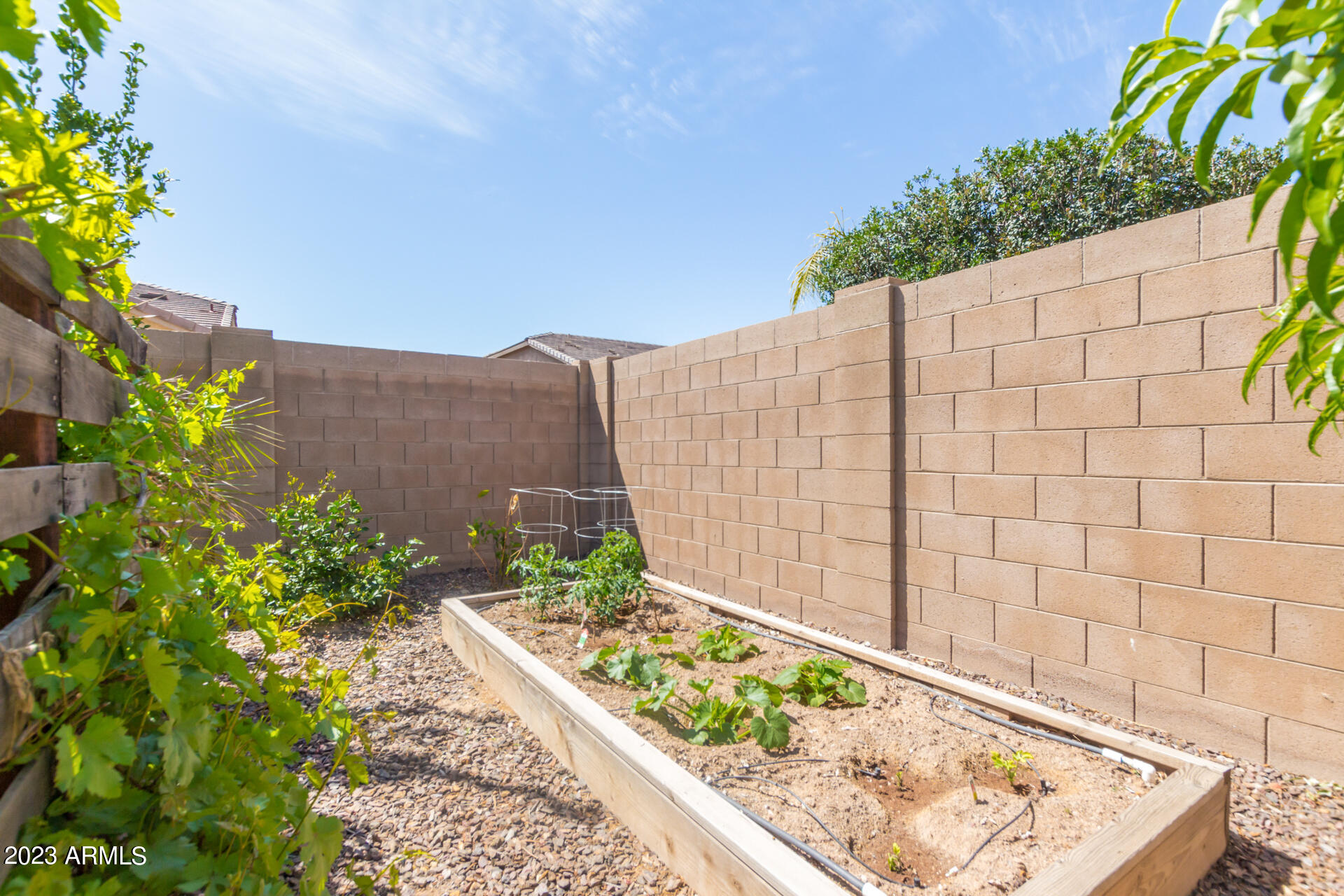 20107 East Camacho Road Queen Creek, AZ 85142 - Photo 39 of 40 43 - Camacho