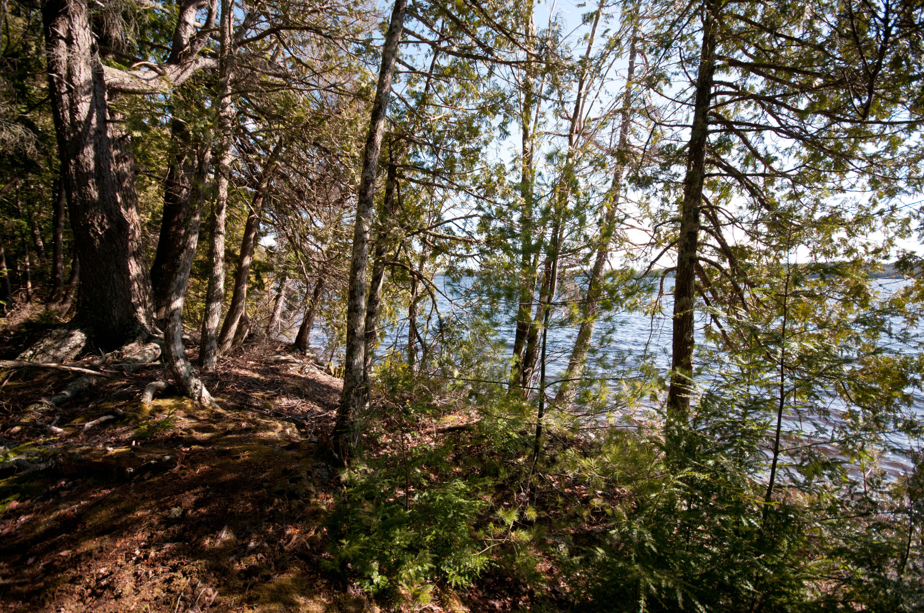98 Beavers Road Sullivan, ME 04664 - Photo 19 of 22 untitled-1-7
