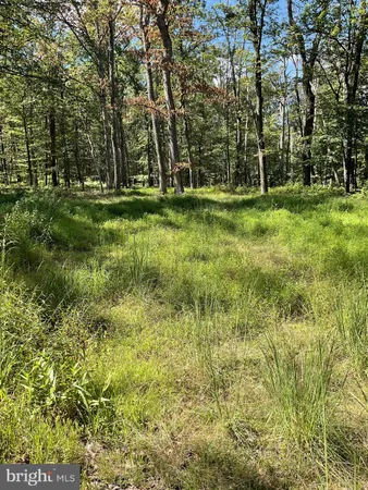 $299,900 | 624 Mountain Lion Lane, Augusta, WV 26704