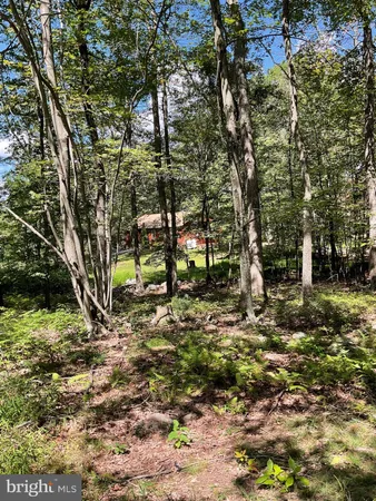 $299,900 | 624 Mountain Lion Lane, Augusta, WV 26704