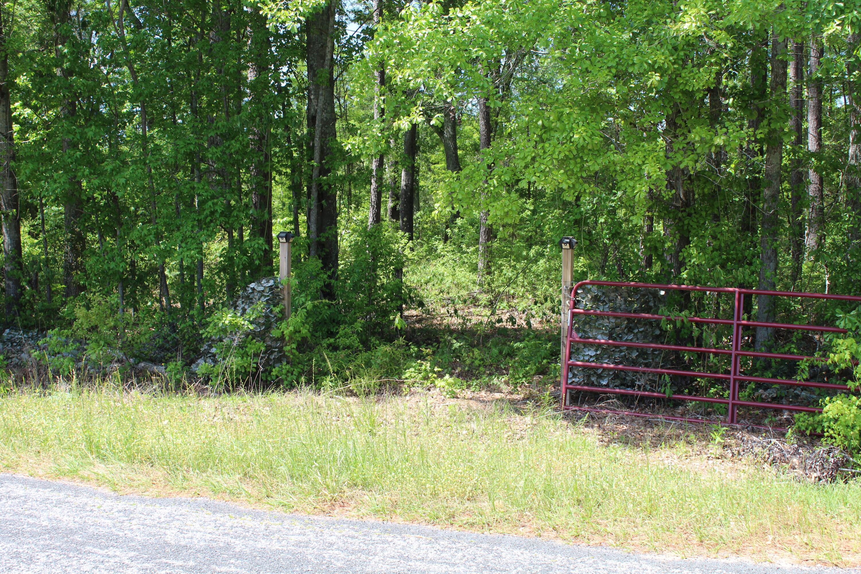 2411 Drain Road Smoaks, SC 29481 - Photo 1 of 9 IMG_8371