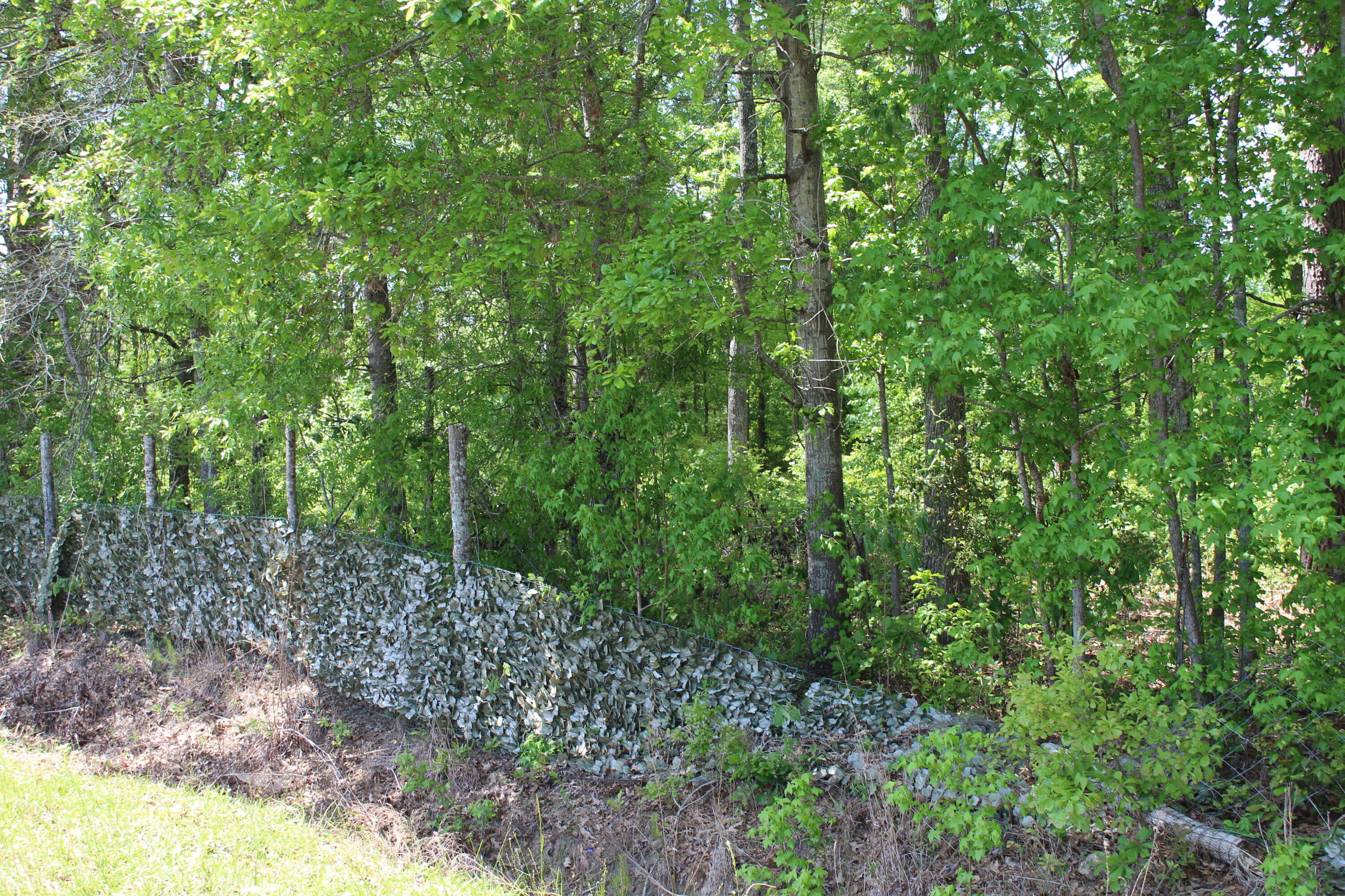 2411 Drain Road Smoaks, SC 29481 - Photo 2 of 9 IMG_8373