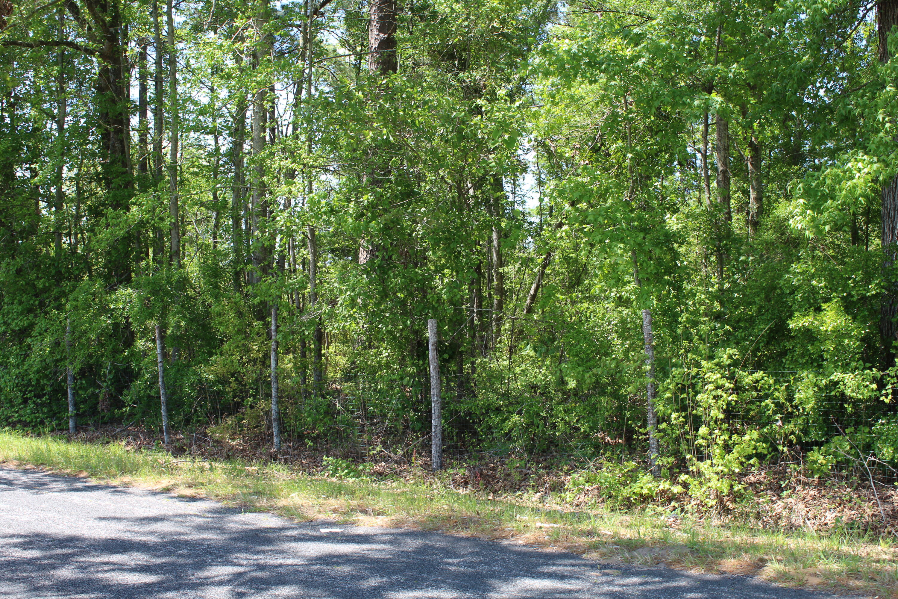 2411 Drain Road Smoaks, SC 29481 - Photo 3 of 9 IMG_8375