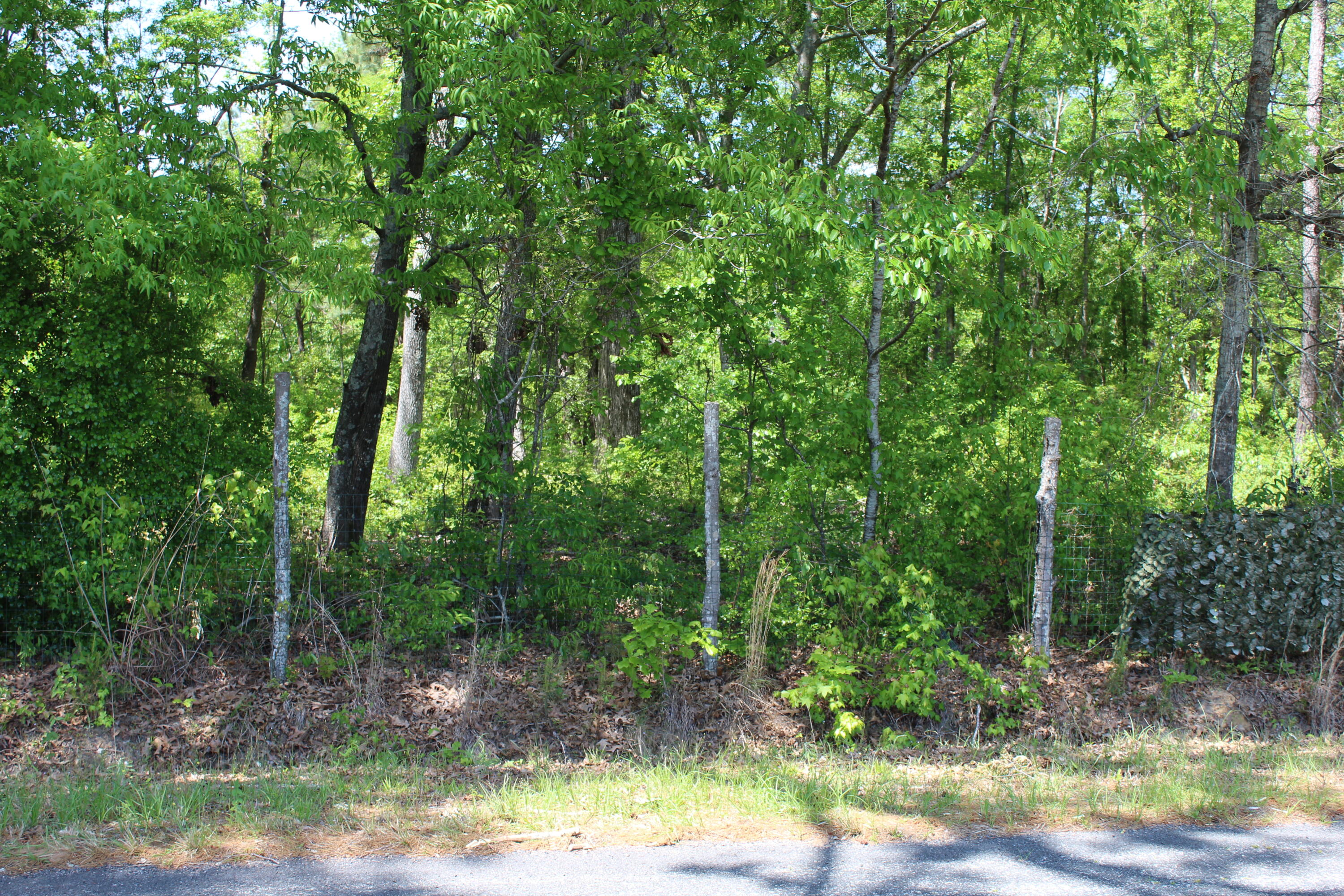 2411 Drain Road Smoaks, SC 29481 - Photo 5 of 9 IMG_8374