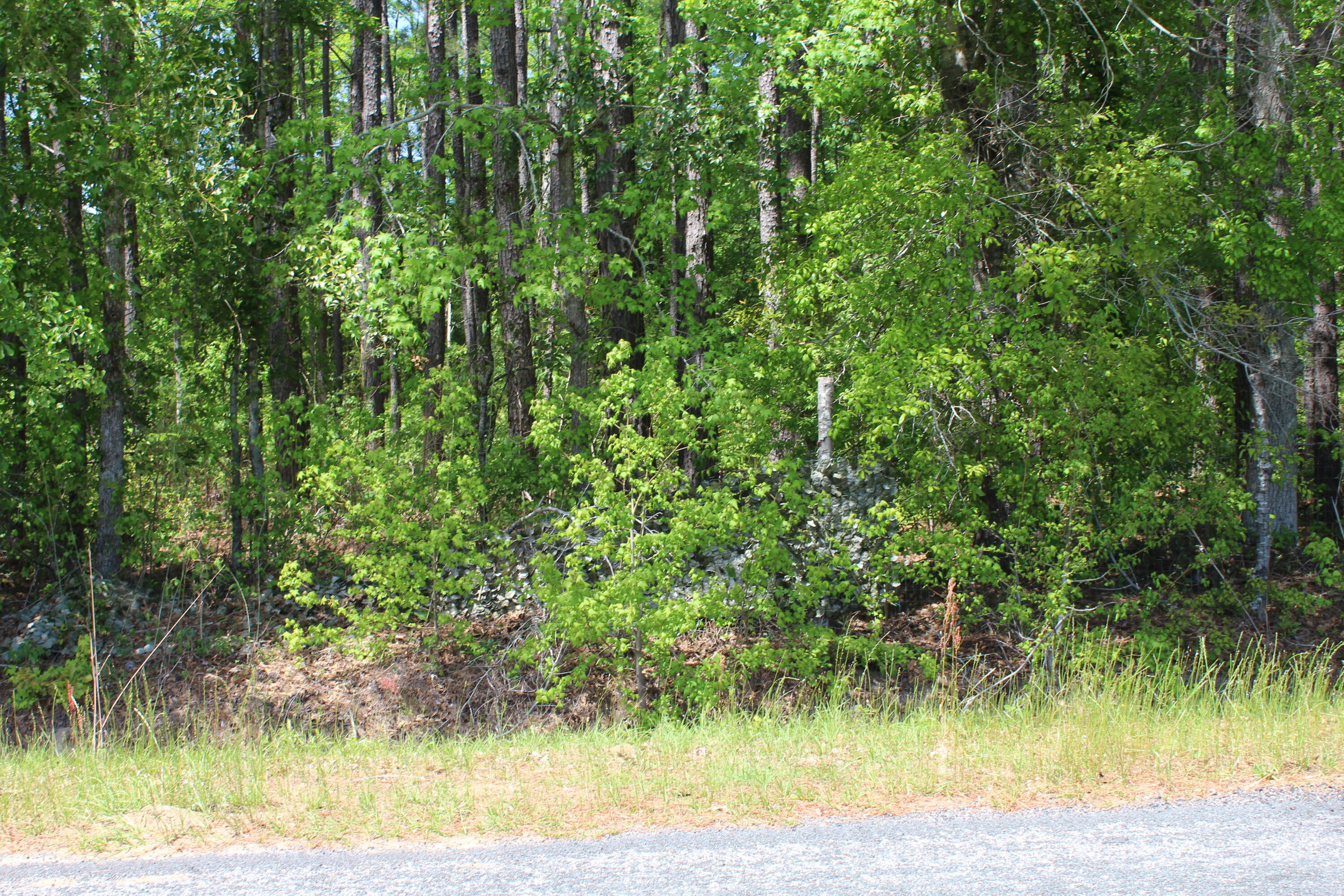 2411 Drain Road Smoaks, SC 29481 - Photo 9 of 9 IMG_8372