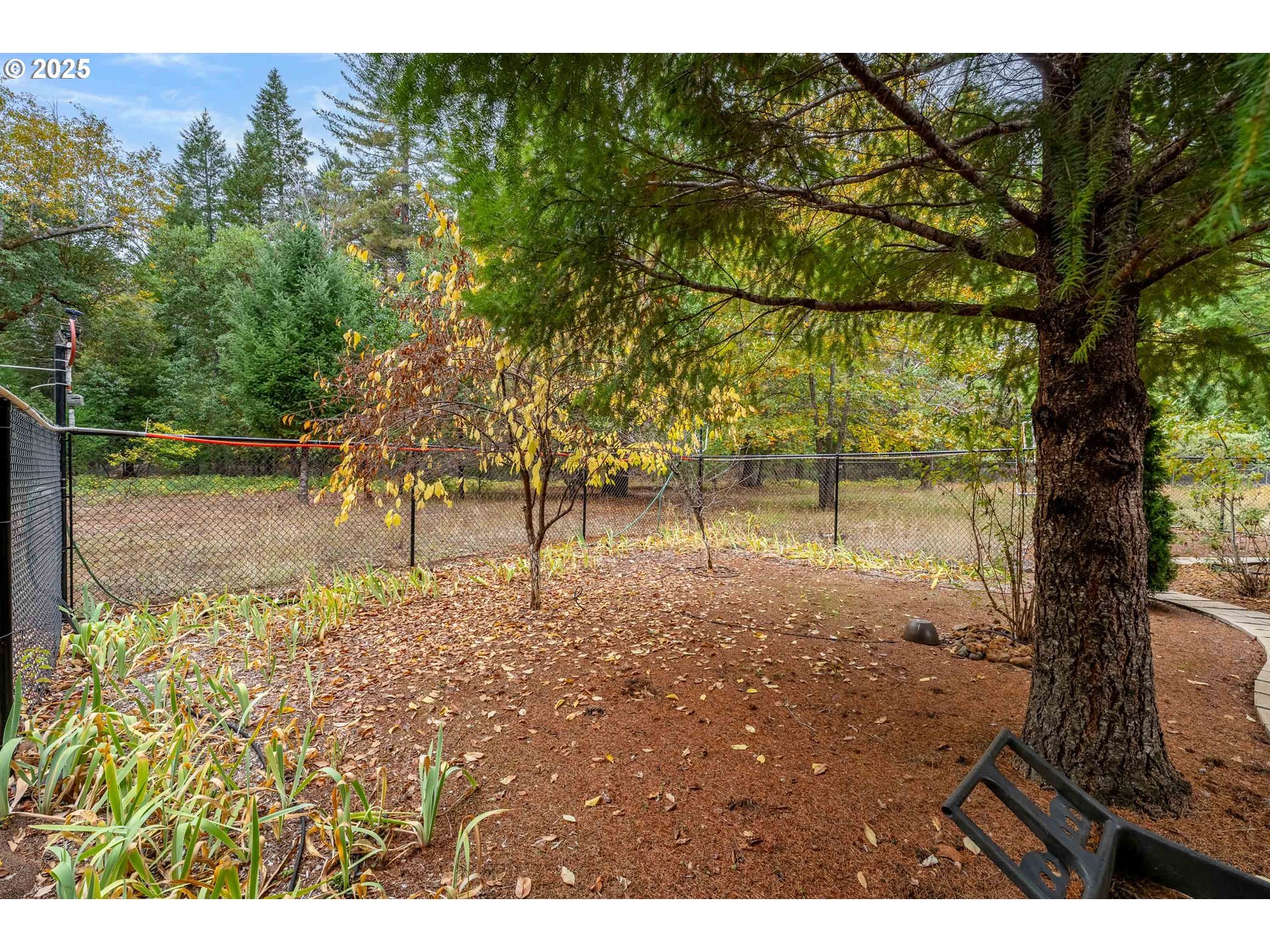 335 Cornett Lane Cave Junction, OR 97523 - Photo 21 of 47