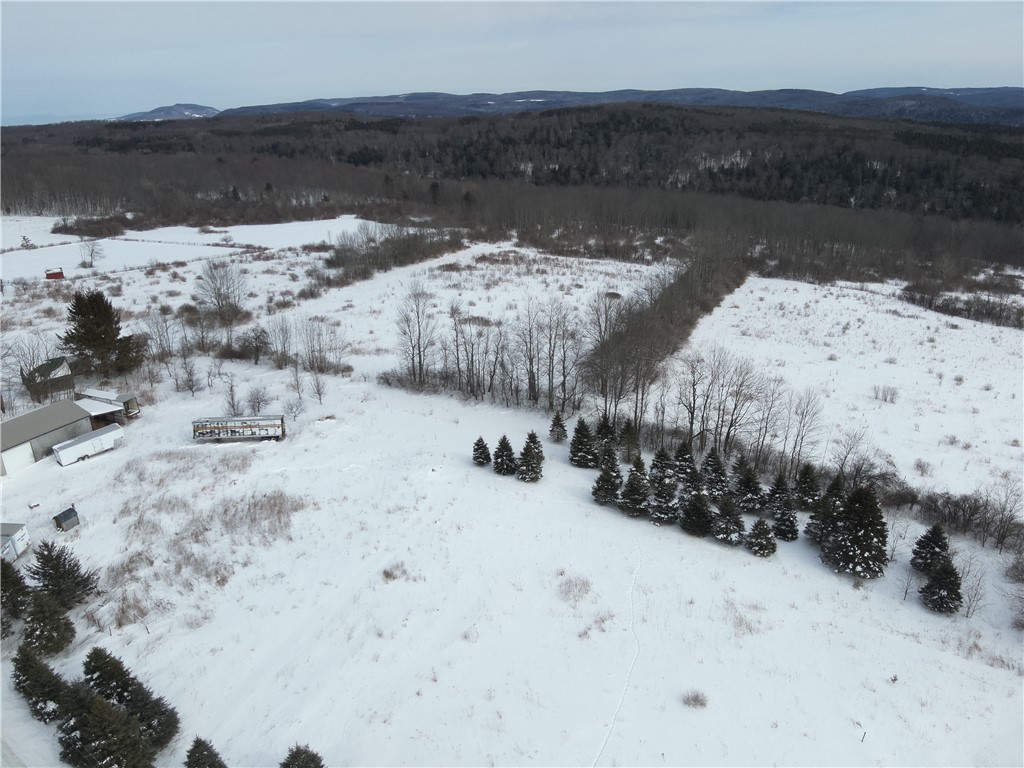 442 Roscoe Jones Road Cooperstown, NY 13326 - Photo 4 of 6