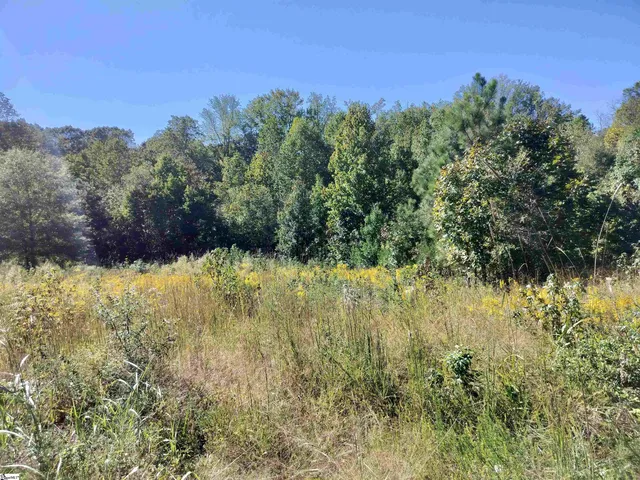 $60,000 | 244-246 River Oaks Circle, Piedmont, SC 29673