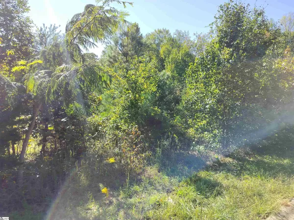 $55,000 | 244-246 River Oaks Circle, Piedmont, SC 29673