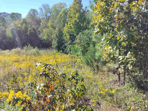 $55,000 | 244-246 River Oaks Circle, Piedmont, SC 29673