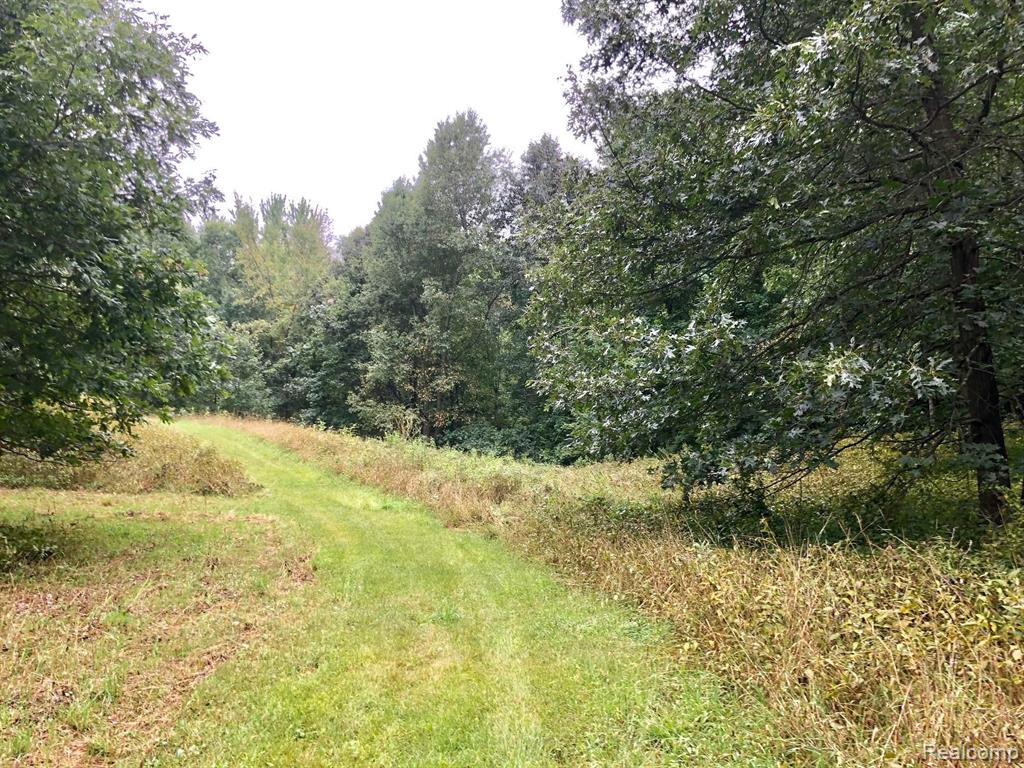 4570 Blood Road Metamora, MI 48455 - Photo 18 of 33 Gallery Image 18
