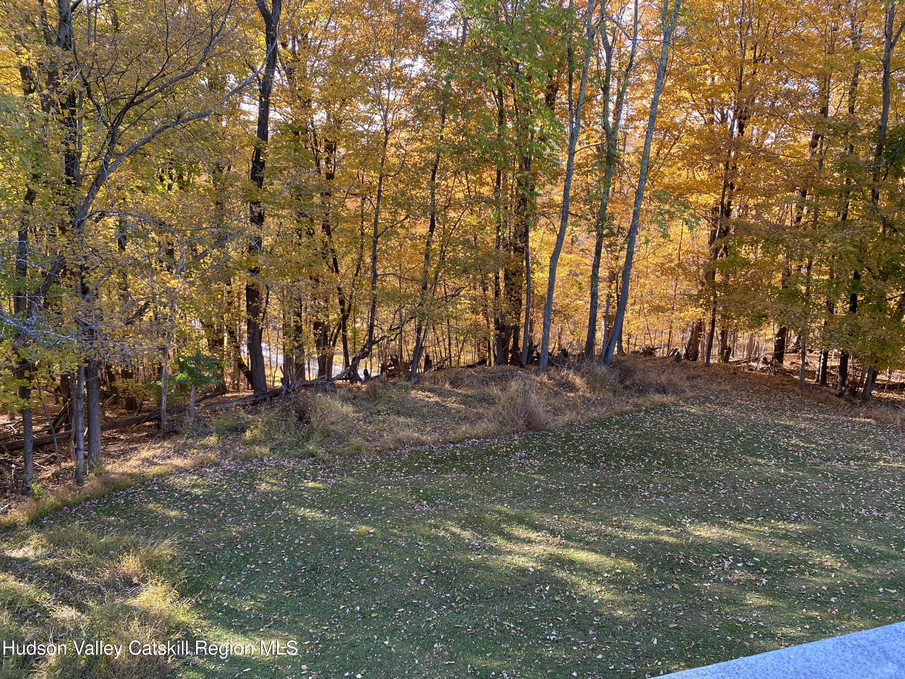 22 Beacham Road Rhinebeck, NY 12572 - Photo 22 of 38 a view of backyard with tree