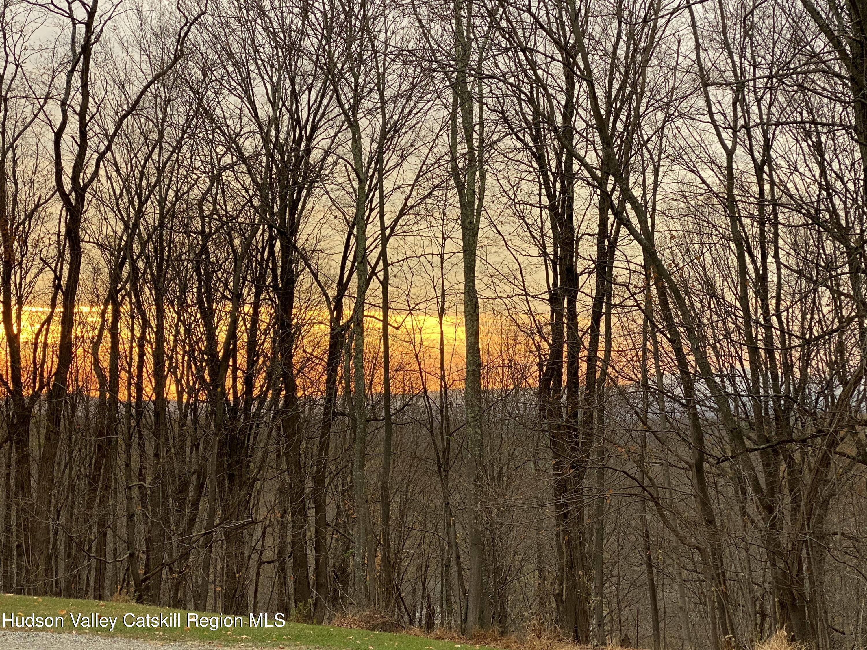 22 Beacham Road Rhinebeck, NY 12572 - Photo 29 of 38 a view of forest