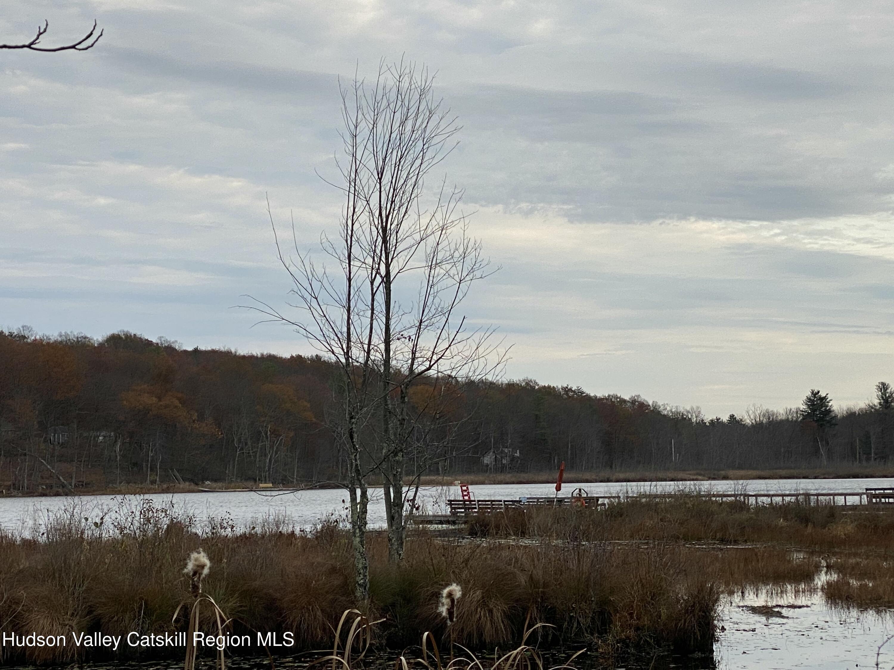 22 Beacham Road Rhinebeck, NY 12572 - Photo 30 of 38 LAKE