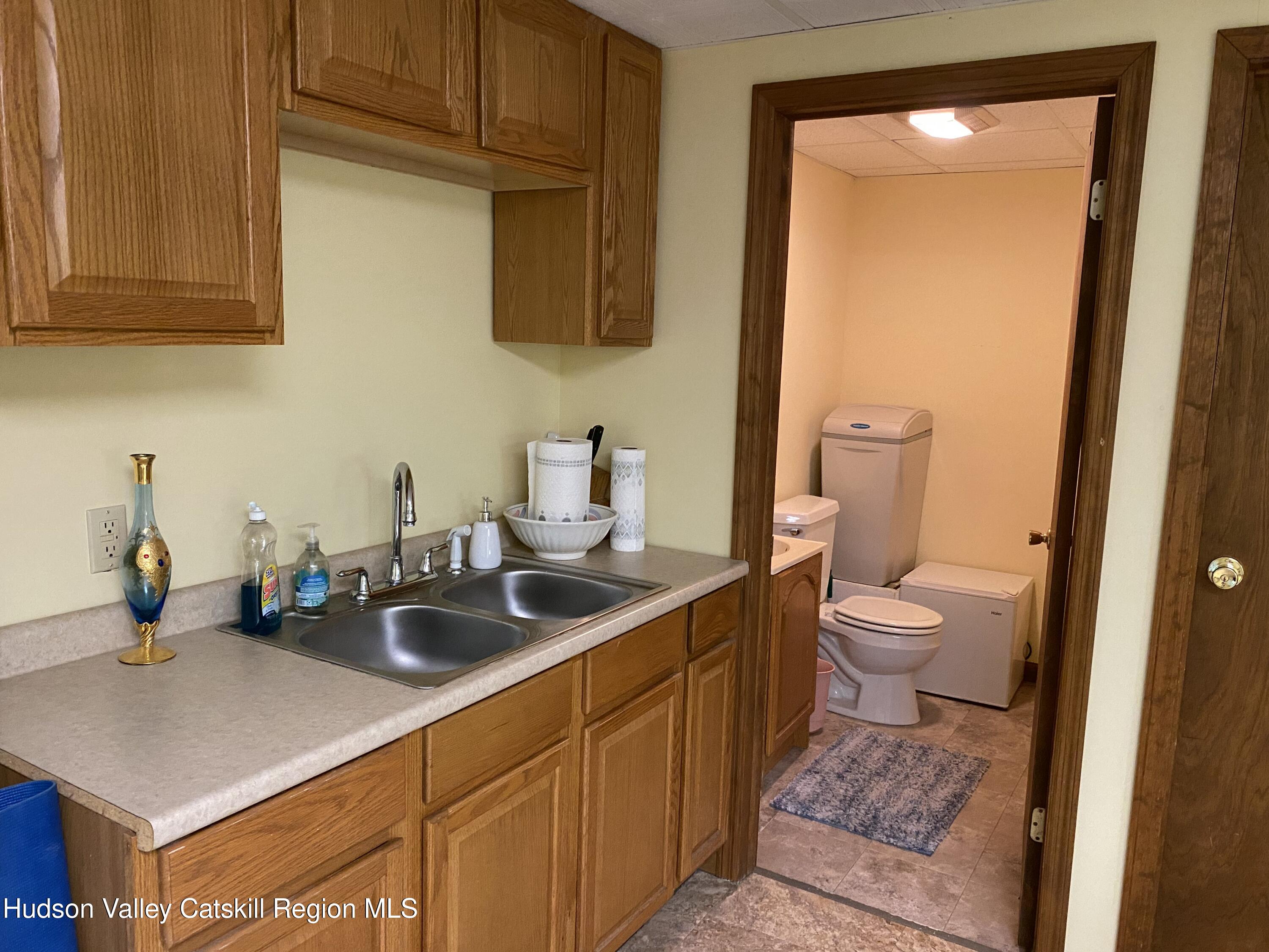 22 Beacham Road Rhinebeck, NY 12572 - Photo 35 of 38 a bathroom with a sink a toilet and mirror