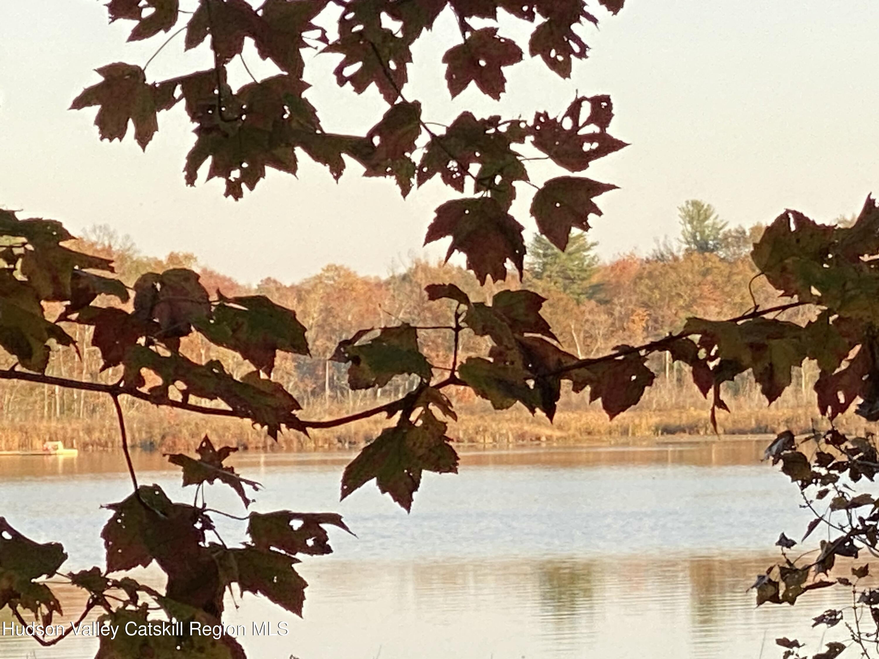 22 Beacham Road Rhinebeck, NY 12572 - Photo 37 of 38 a view of a tree