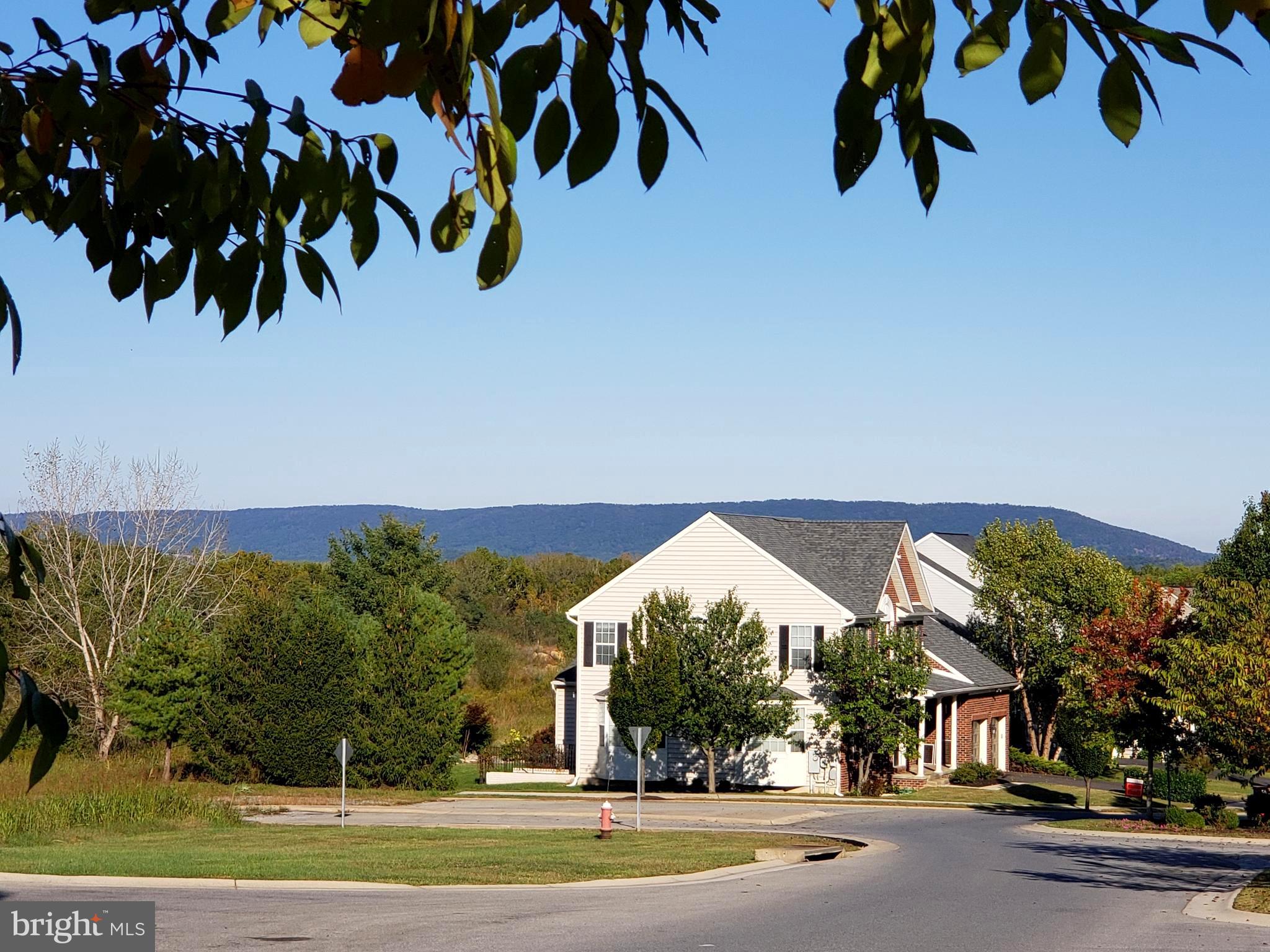 101 Mountain Laurel Boulevard Ranson, WV 25438 - Photo 28 of 43 Side view of house with mountain view