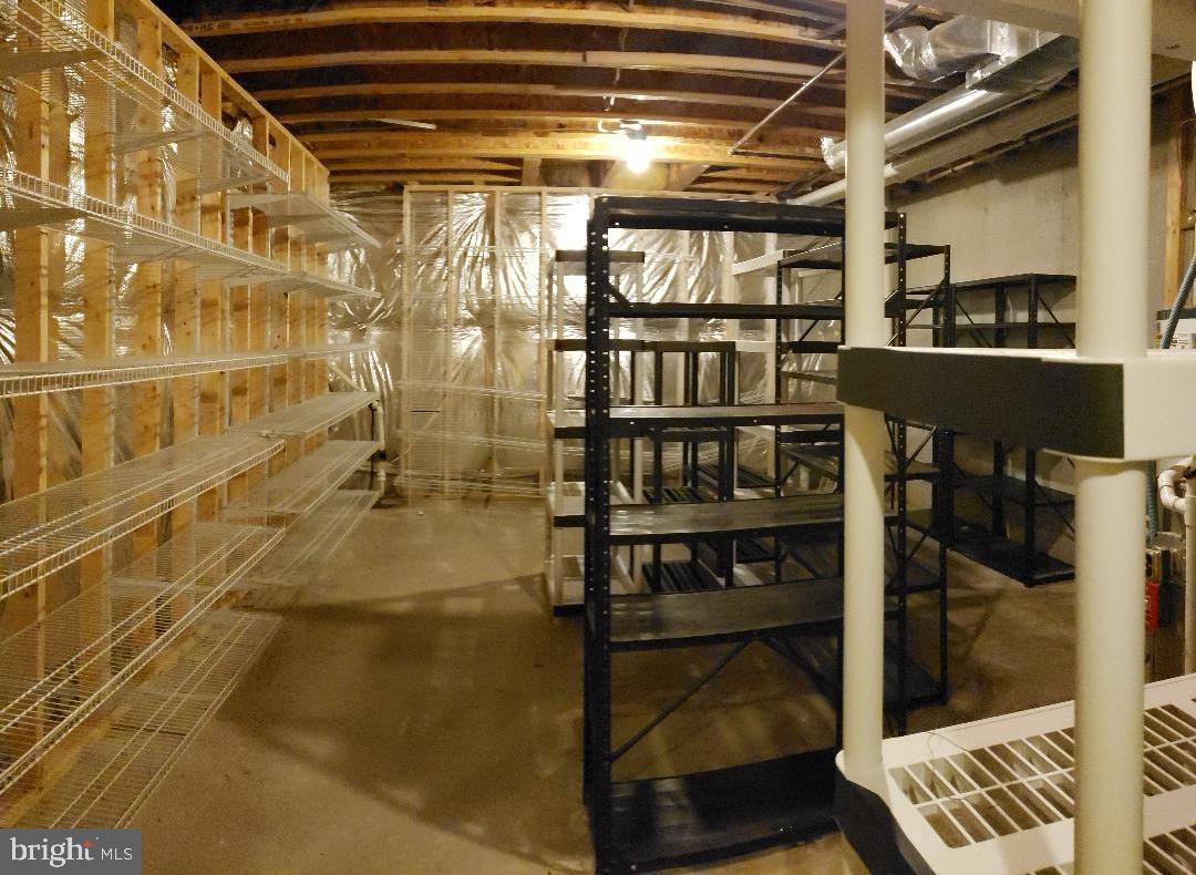 101 Mountain Laurel Boulevard Ranson, WV 25438 - Photo 39 of 43 Storage shelves already in place - basement