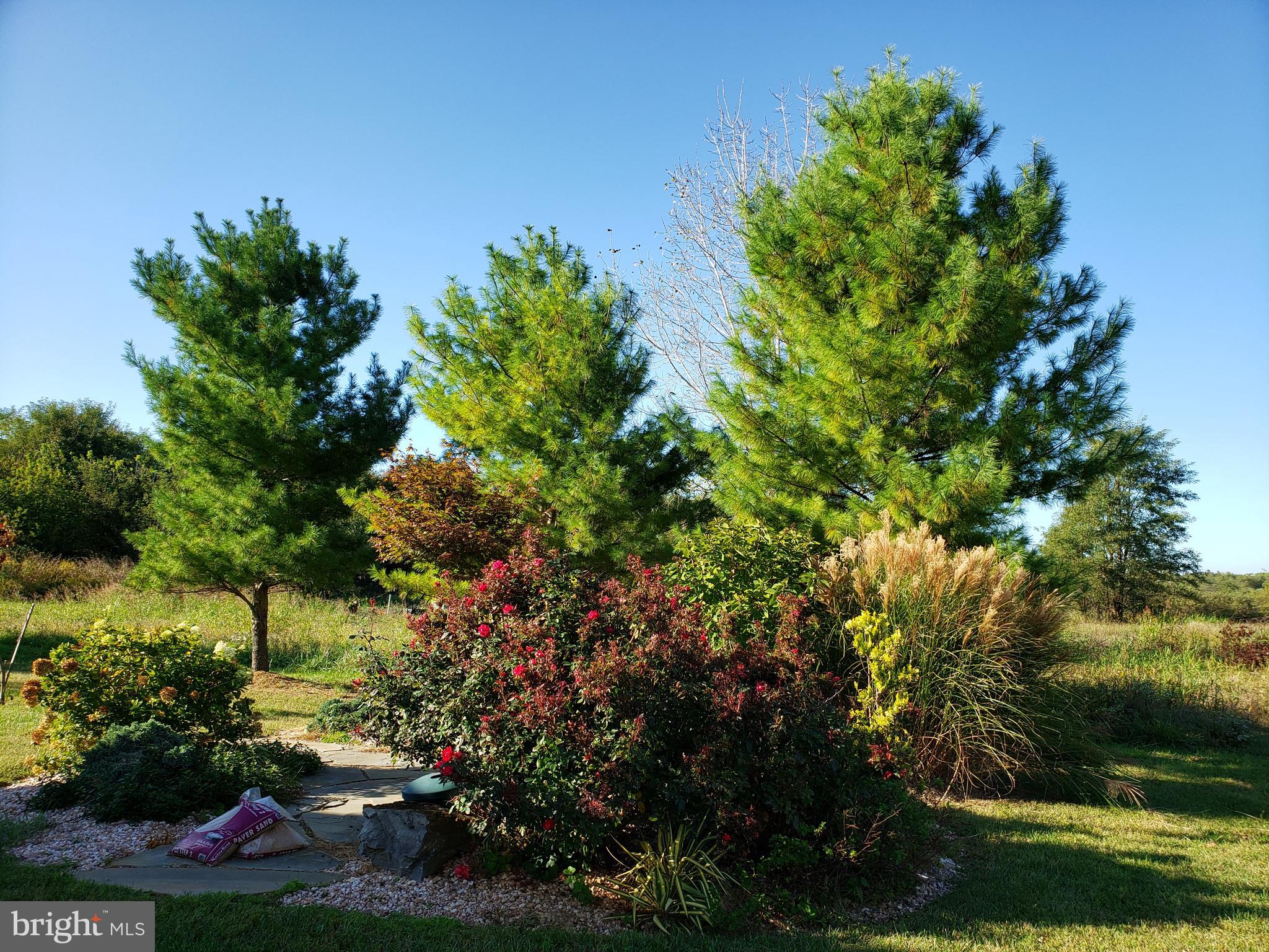 101 Mountain Laurel Boulevard Ranson, WV 25438 - Photo 42 of 43 Backyard