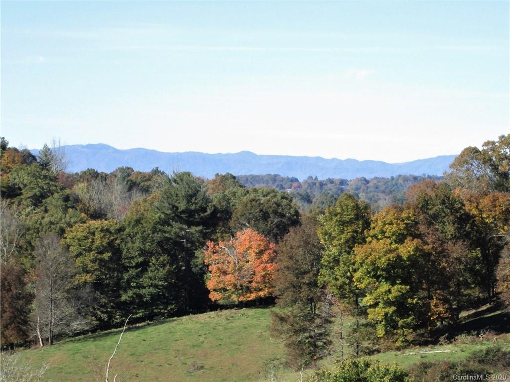 1601 Walker Branch Road Mars Hill, NC 28754 - Photo 1 of 18 Gallery Image 1