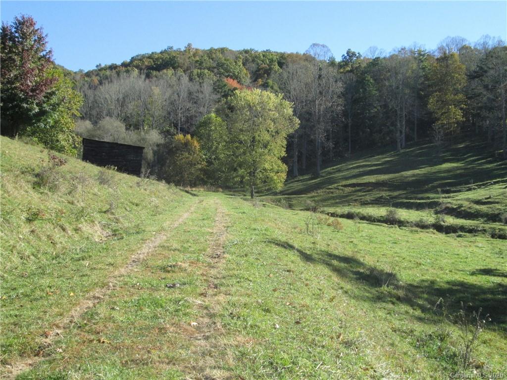 1601 Walker Branch Road Mars Hill, NC 28754 - Photo 2 of 18 Gallery Image 2