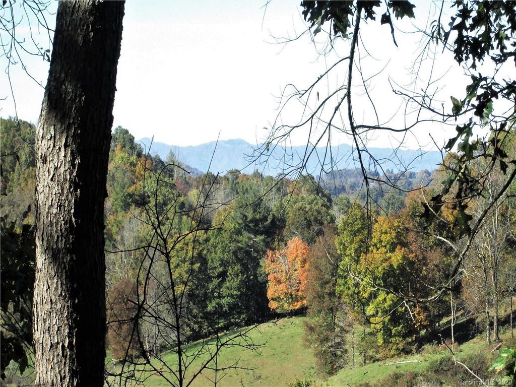 1601 Walker Branch Road Mars Hill, NC 28754 - Photo 16 of 18 Gallery Image 16