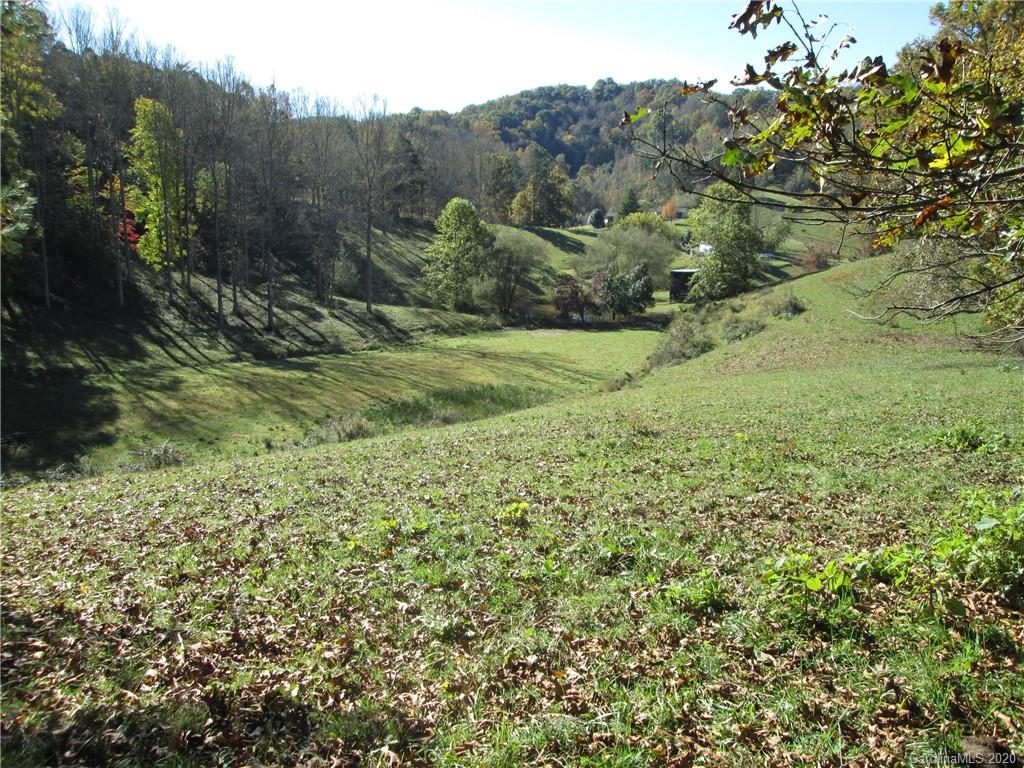 1601 Walker Branch Road Mars Hill, NC 28754 - Photo 17 of 18 Gallery Image 17