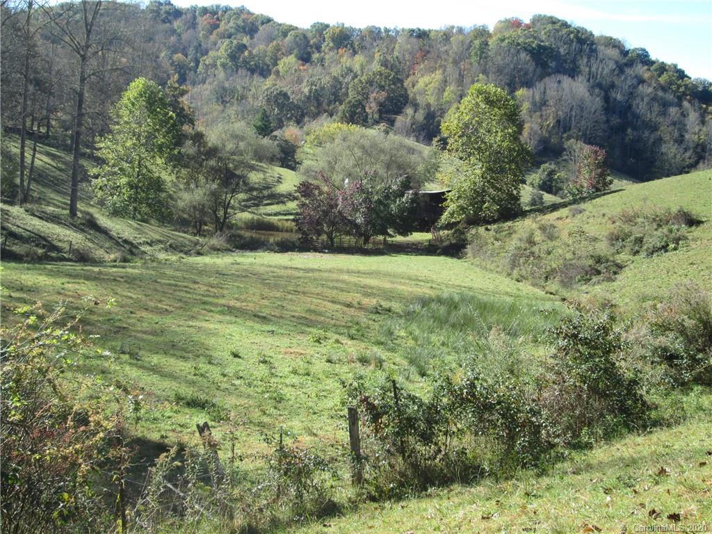 1601 Walker Branch Road Mars Hill, NC 28754 - Photo 3 of 18 Gallery Image 3