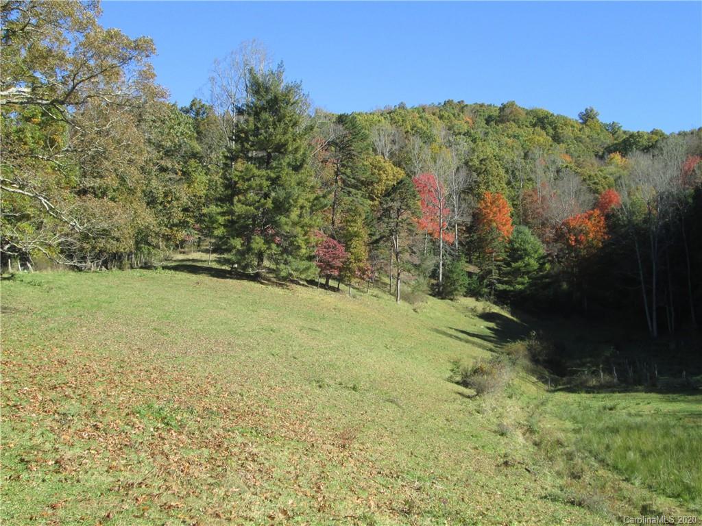 1601 Walker Branch Road Mars Hill, NC 28754 - Photo 4 of 18 Gallery Image 4