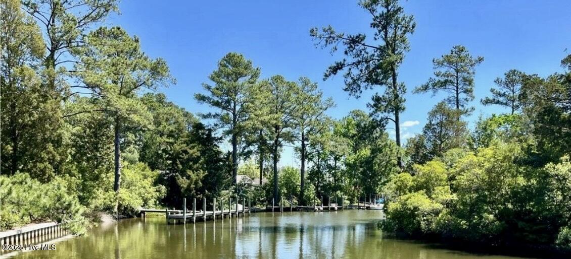 505 Ragan Road Oriental, NC 28571 - Photo 69 of 69 Entrance to Community Dock