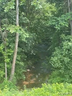 a view of a lush green forest