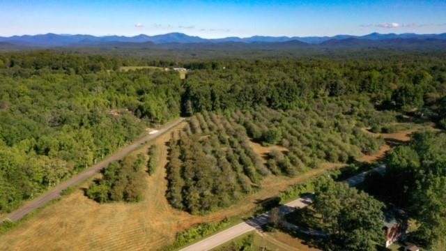 0 Cassidy Bridge Road Mountain Rest, SC 29664 - Photo 1 of 11 Gallery Image 1