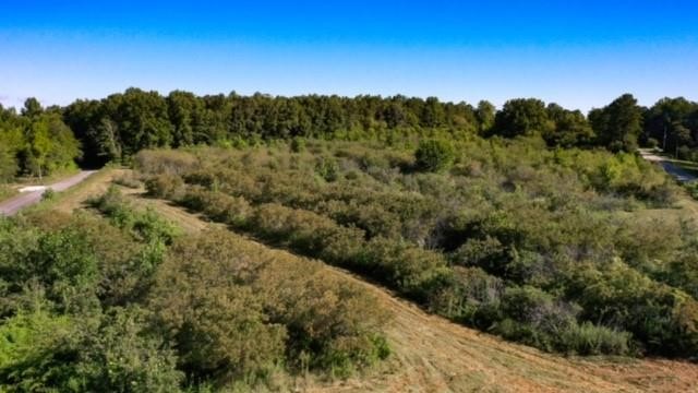 0 Cassidy Bridge Road Mountain Rest, SC 29664 - Photo 11 of 11 Gallery Image 11