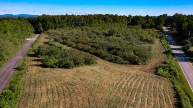 0 Cassidy Bridge Road Mountain Rest, SC 29664 - Photo 2 of 11 Gallery Image 2