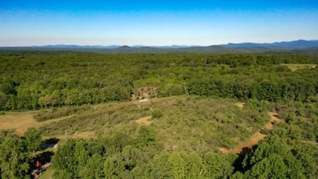 0 Cassidy Bridge Road Mountain Rest, SC 29664 - Photo 3 of 11 Gallery Image 3