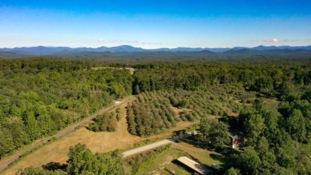 0 Cassidy Bridge Road Mountain Rest, SC 29664 - Photo 5 of 11 Gallery Image 5