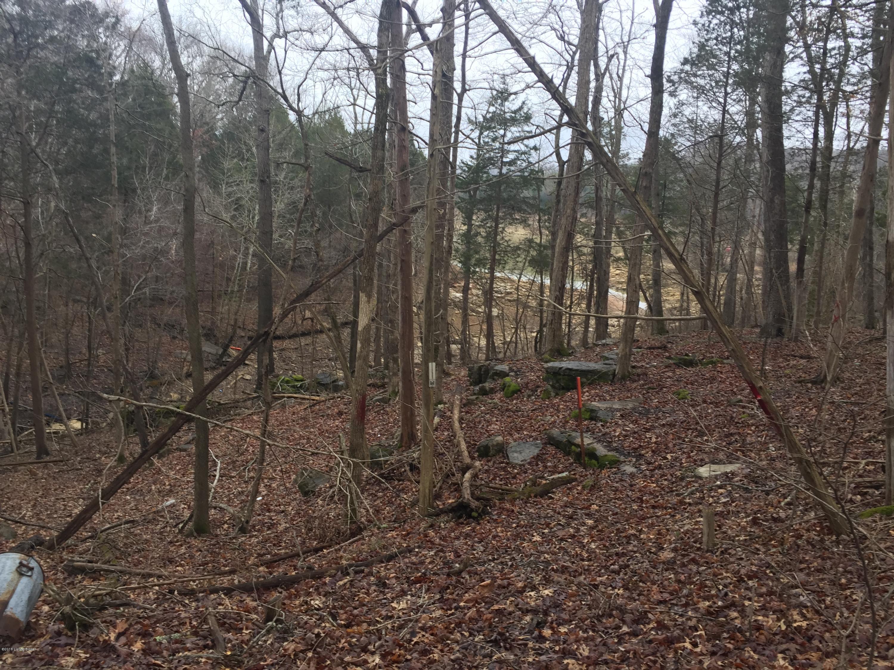 105 Pawnee Road Cub Run, KY 42729 - Photo 13 of 21 image