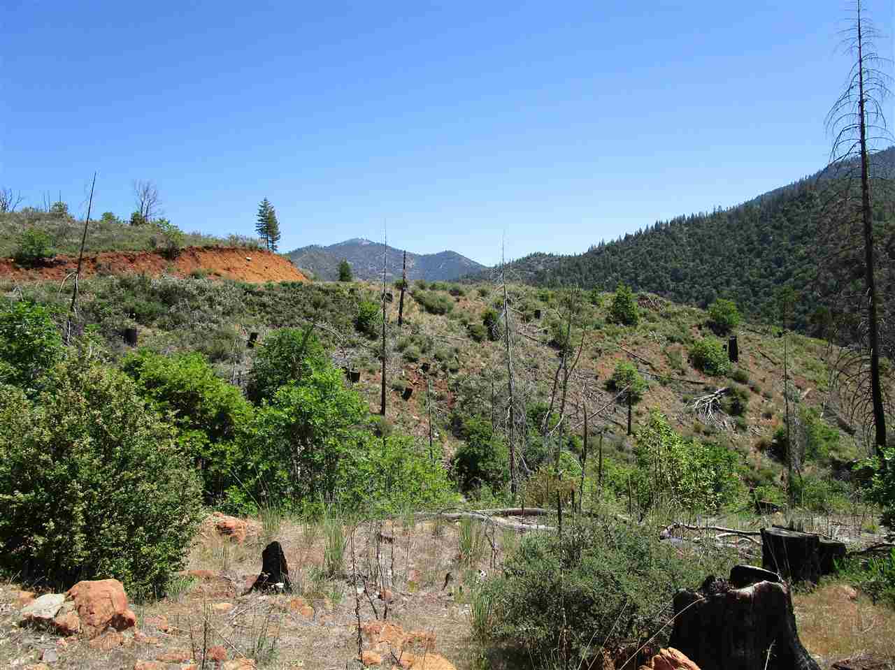 0 Scott River Road Scott Bar, CA 96085 - Photo 3 of 6 Gallery Image 3