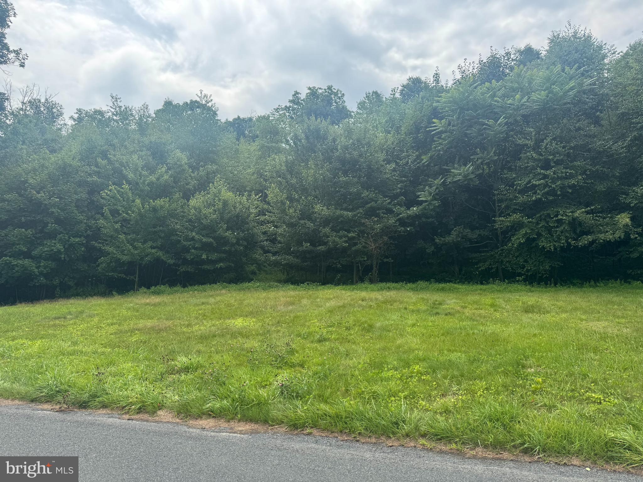 0 Mexico Road Pine Grove, PA 17963 - Photo 3 of 3 Gallery Image 3