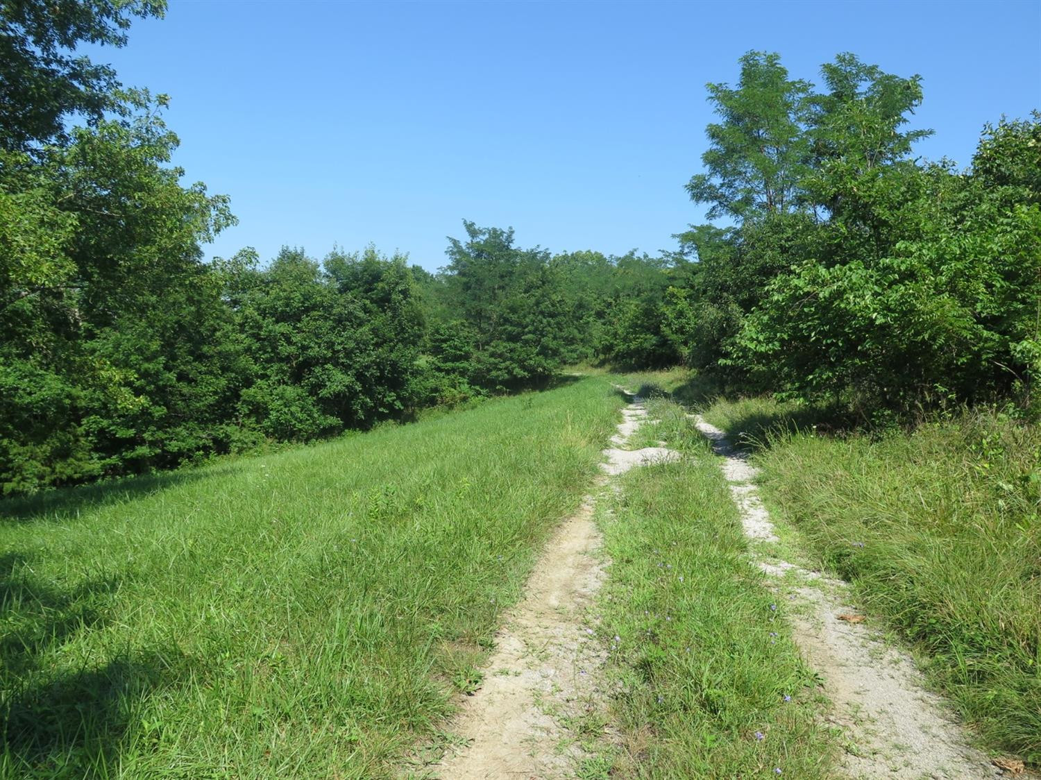 1 North Lang Road Berry, KY 41003 - Photo 7 of 17 Photo 7