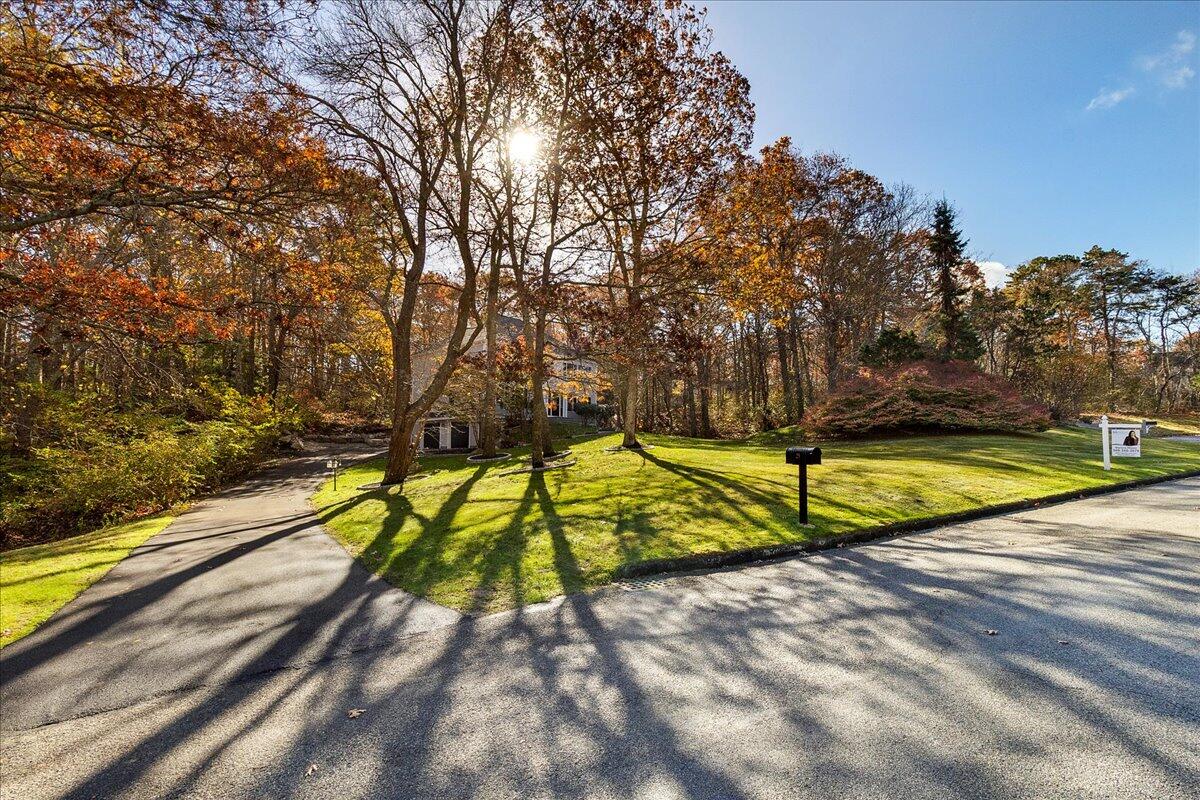 29 Fish House Road East Sandwich, MA 02537 - Photo 45 of 50 a view of swimming pool with lounge chair