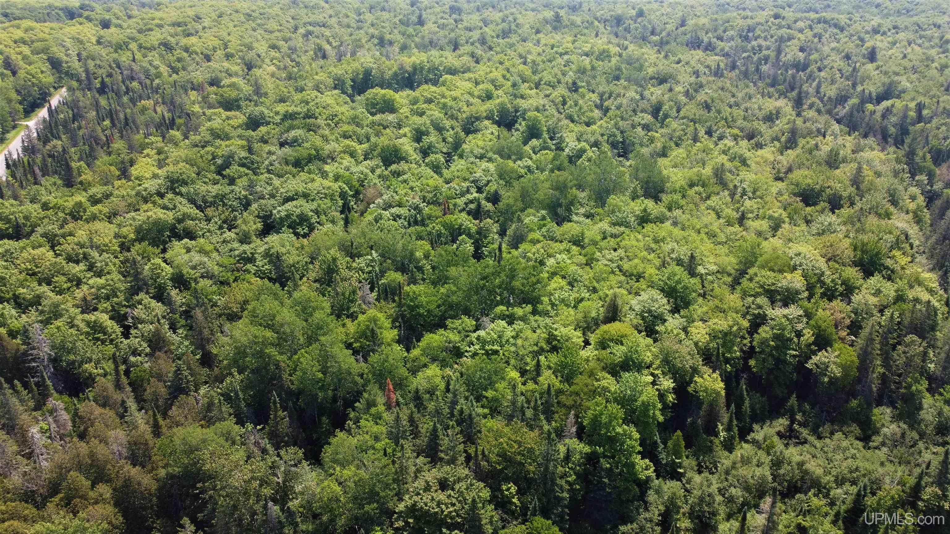 On West Shingleton Road Shingleton, MI 49884 - Photo 15 of 20