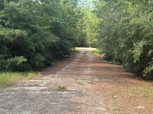 $6,000 | 281 Tanoak Lane, Brookeland, TX 75931