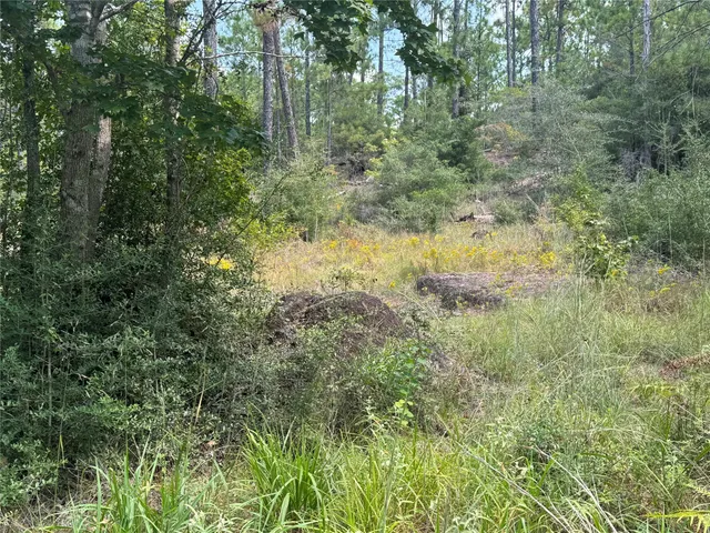 $6,000 | 281 Tanoak Lane, Brookeland, TX 75931