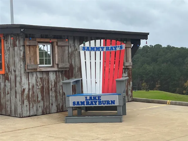 a view of a forest that has large trees
