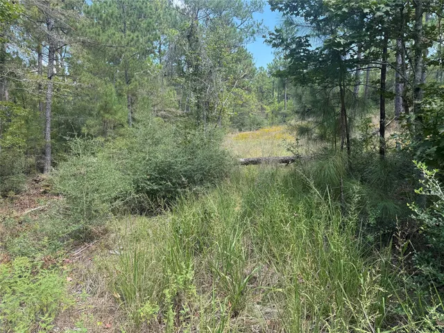 $6,000 | 281 Tanoak Lane, Brookeland, TX 75931