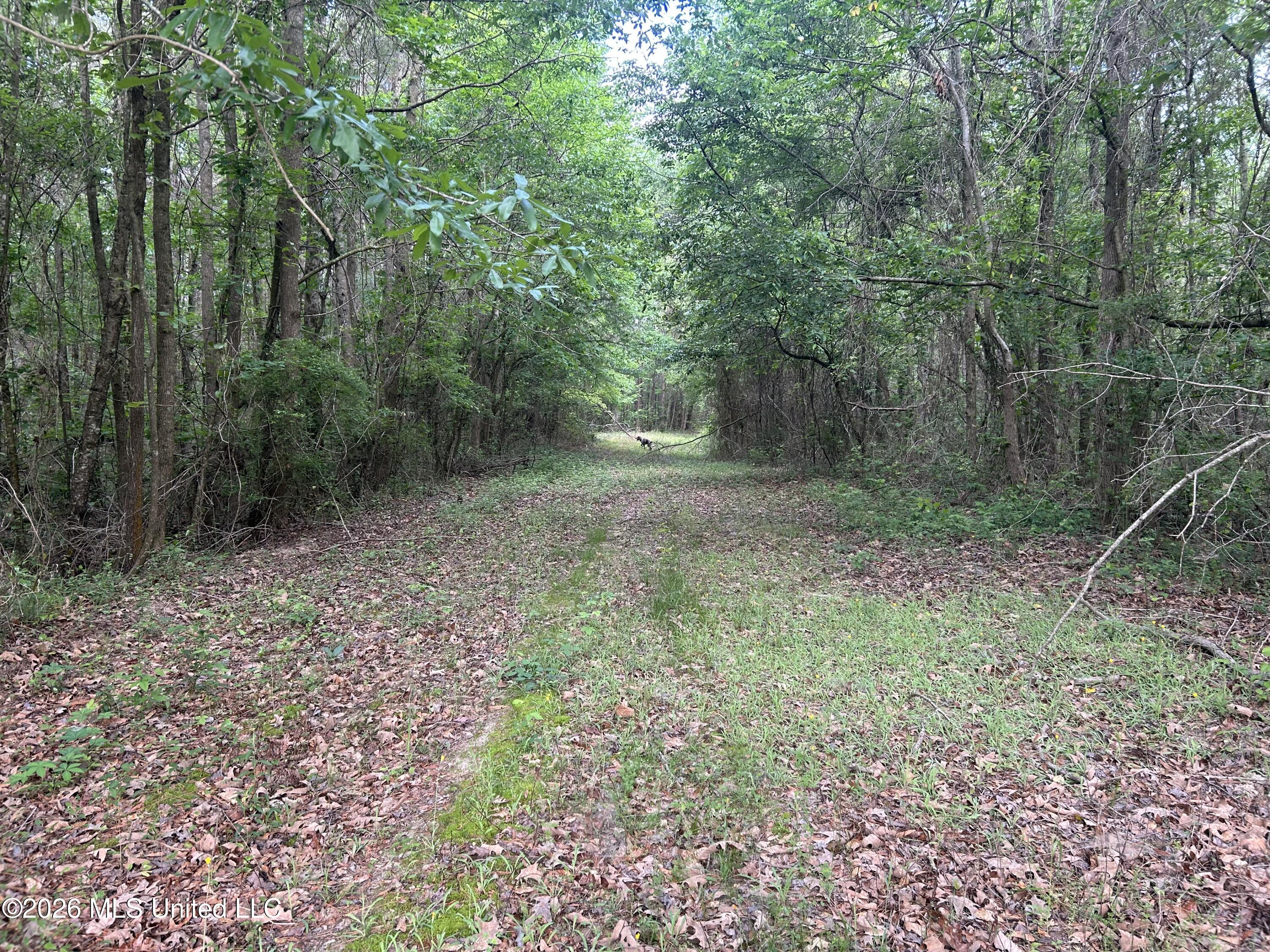 0 Hooper Mill Creek Road Philadelphia, MS 39350 - Photo 13 of 37 Photo Apr 15 2026, 9 01 37 AM